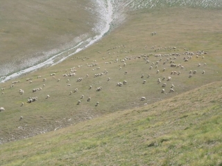 Escenarios increíbles 